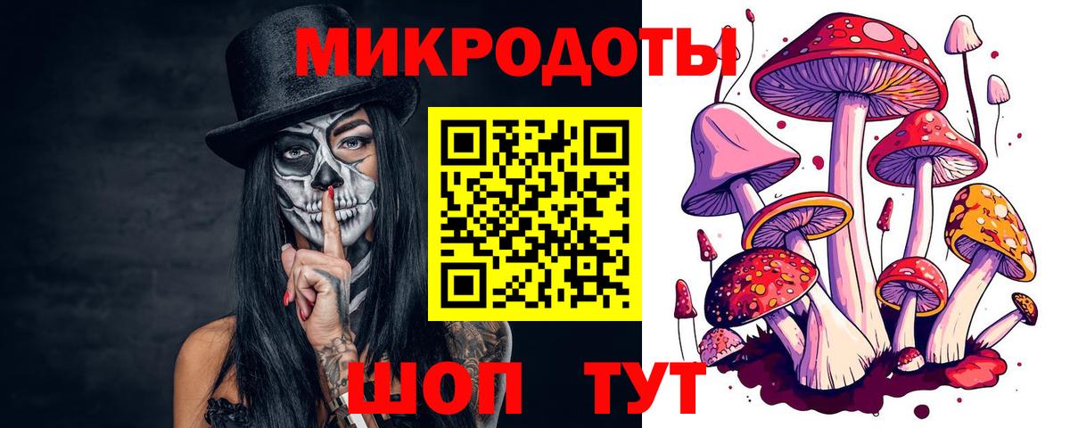 Псилоцибиновые грибы Psilocybine cubensis Асино