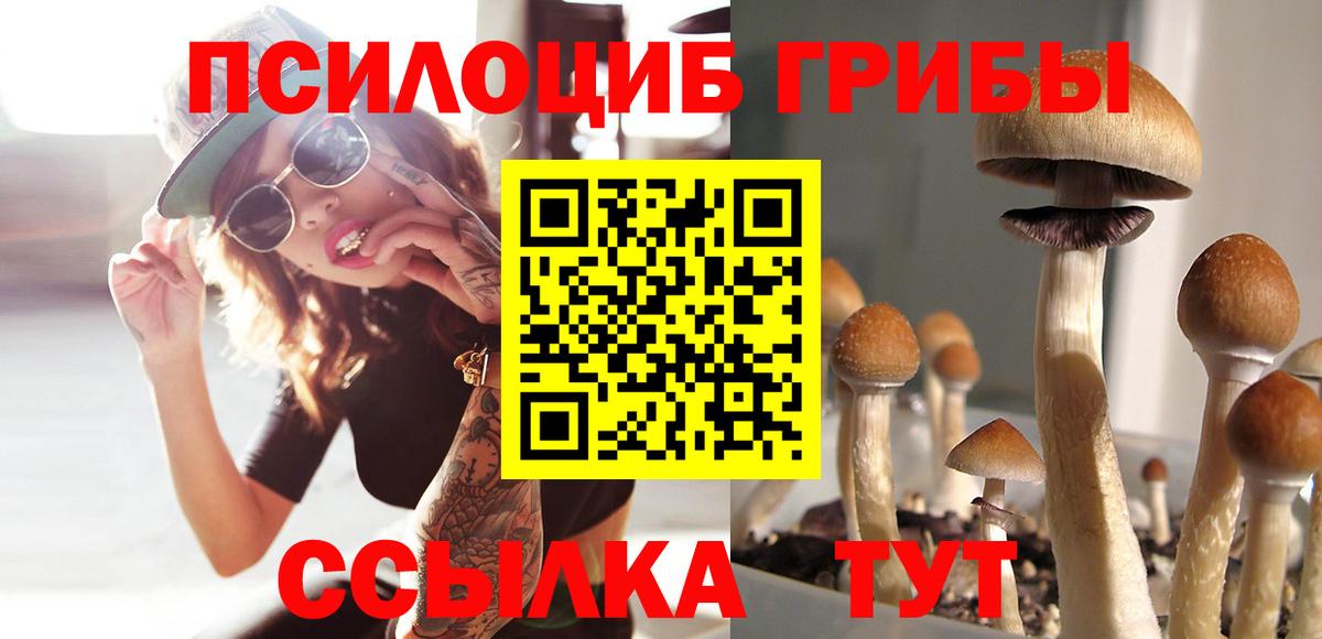 Псилоцибиновые грибы мухоморы  Псилоцибиновые грибы GOLDEN TEACHER  Асино  Вход с VPN 